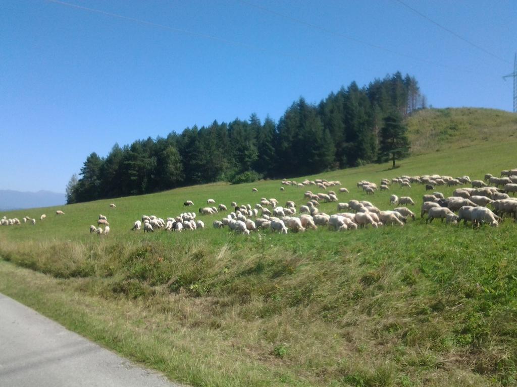 FATRAPARK 1 U SOVIČKY štúdio, kuchynka, kúpeľňa,s balkónom grátis parkovanie v podzemnej garáži Ruzomberok Exterior foto