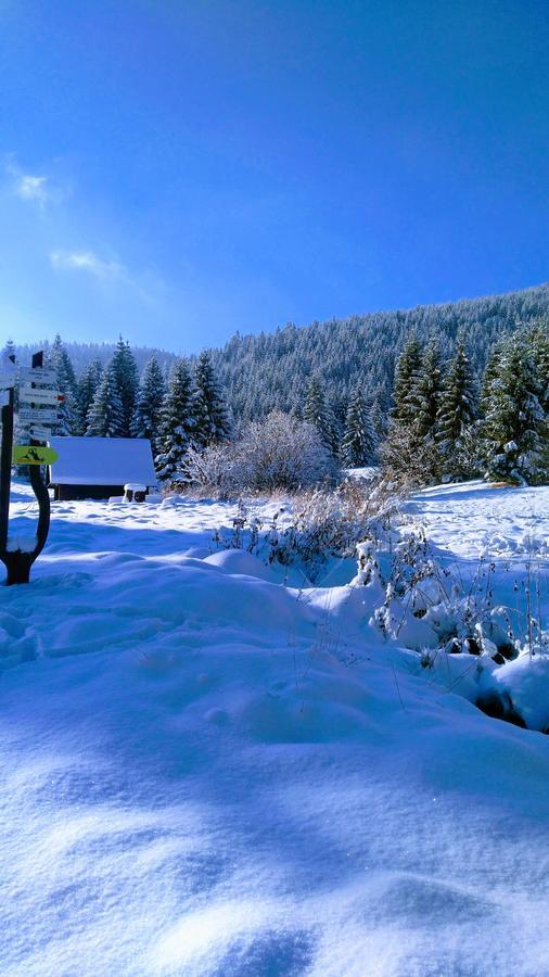 FATRAPARK 1 U SOVIČKY štúdio, kuchynka, kúpeľňa,s balkónom grátis parkovanie v podzemnej garáži Ruzomberok Exterior foto